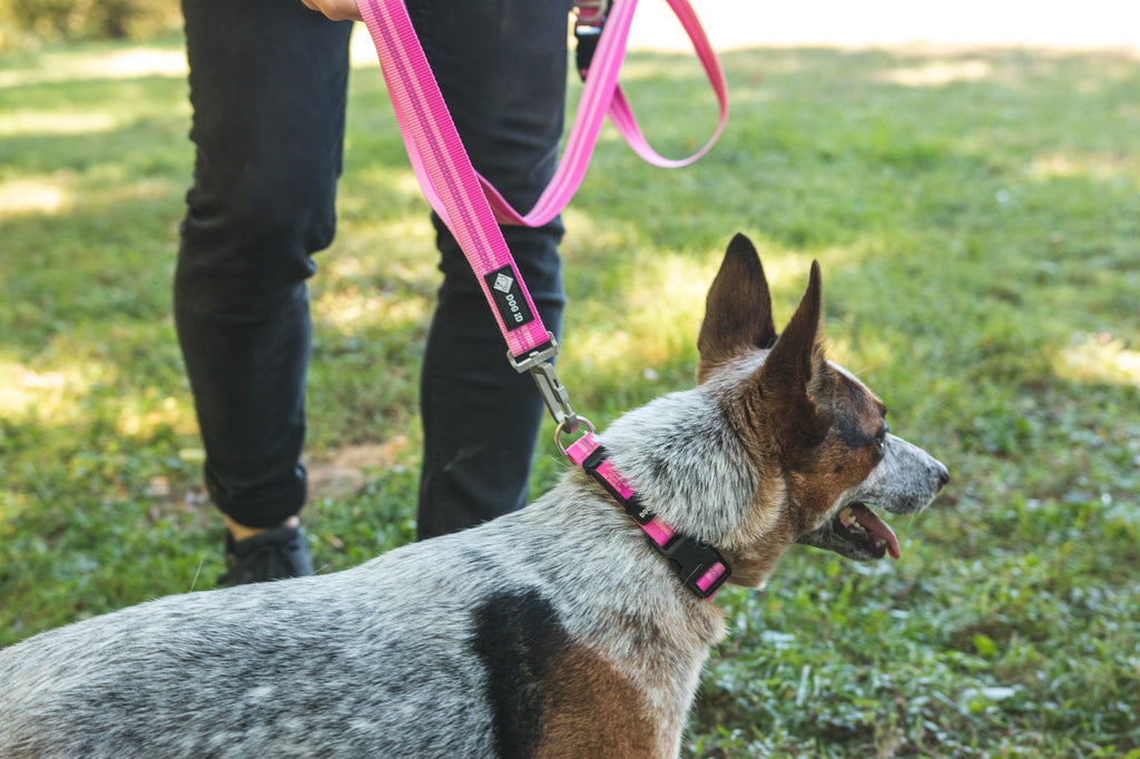 Dog Leashes product image 18