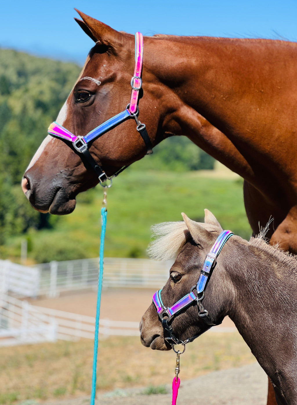 Leather Horse Halter product image 6