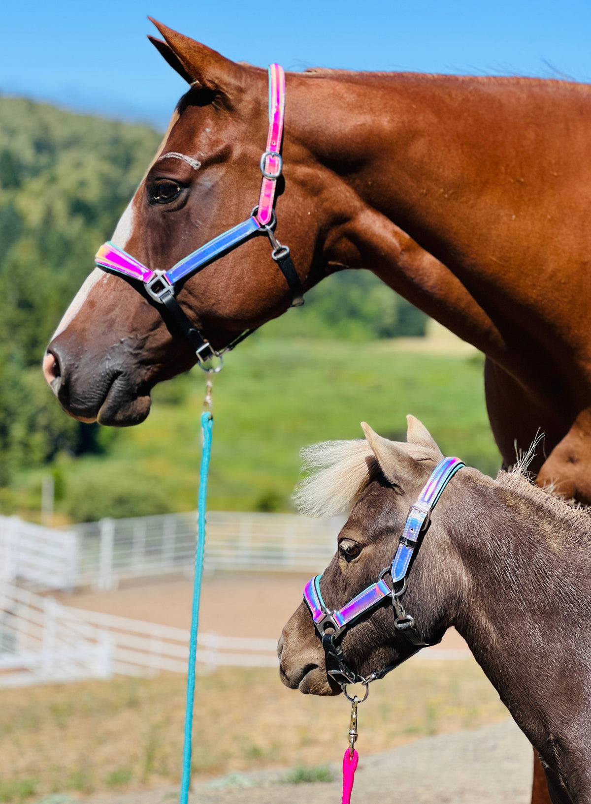 Leather Horse Halter product image 6