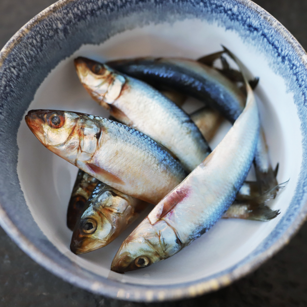 Raw Fish Pet Food product image 10