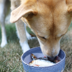 Raw Fish Pet Food product image 13
