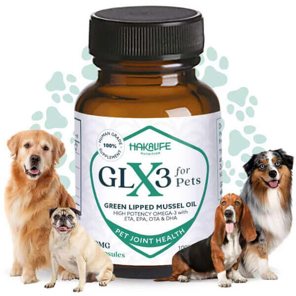 Dog Joint Supplement product image 1