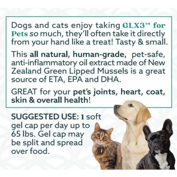 Dog Joint Supplement product image 3