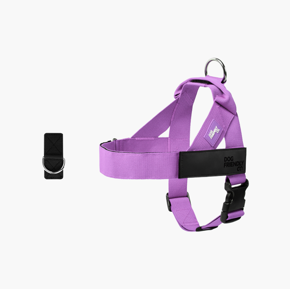 Adjustable Grab-Handle Dog Harness product image 16