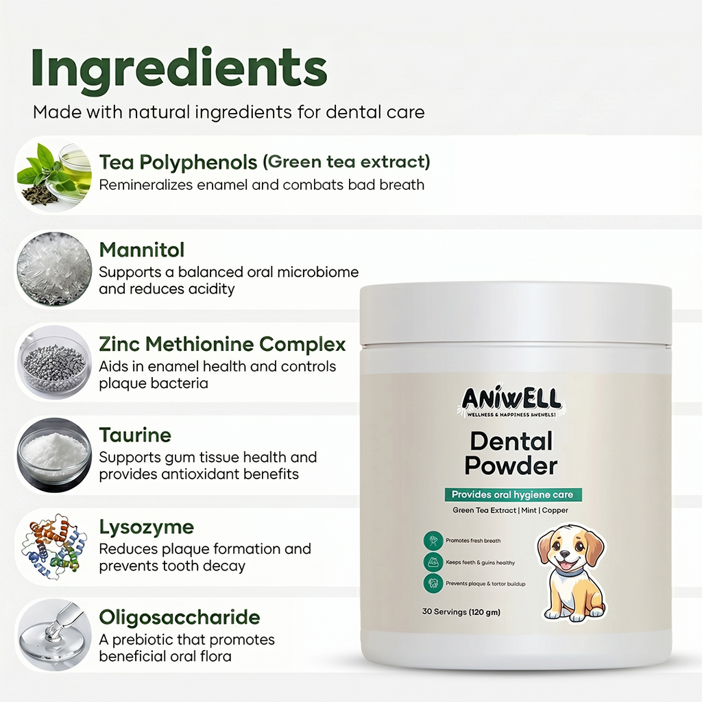 Pet Dental Powder product image 3