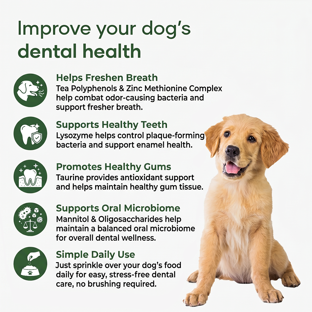 Pet Dental Powder product image 4