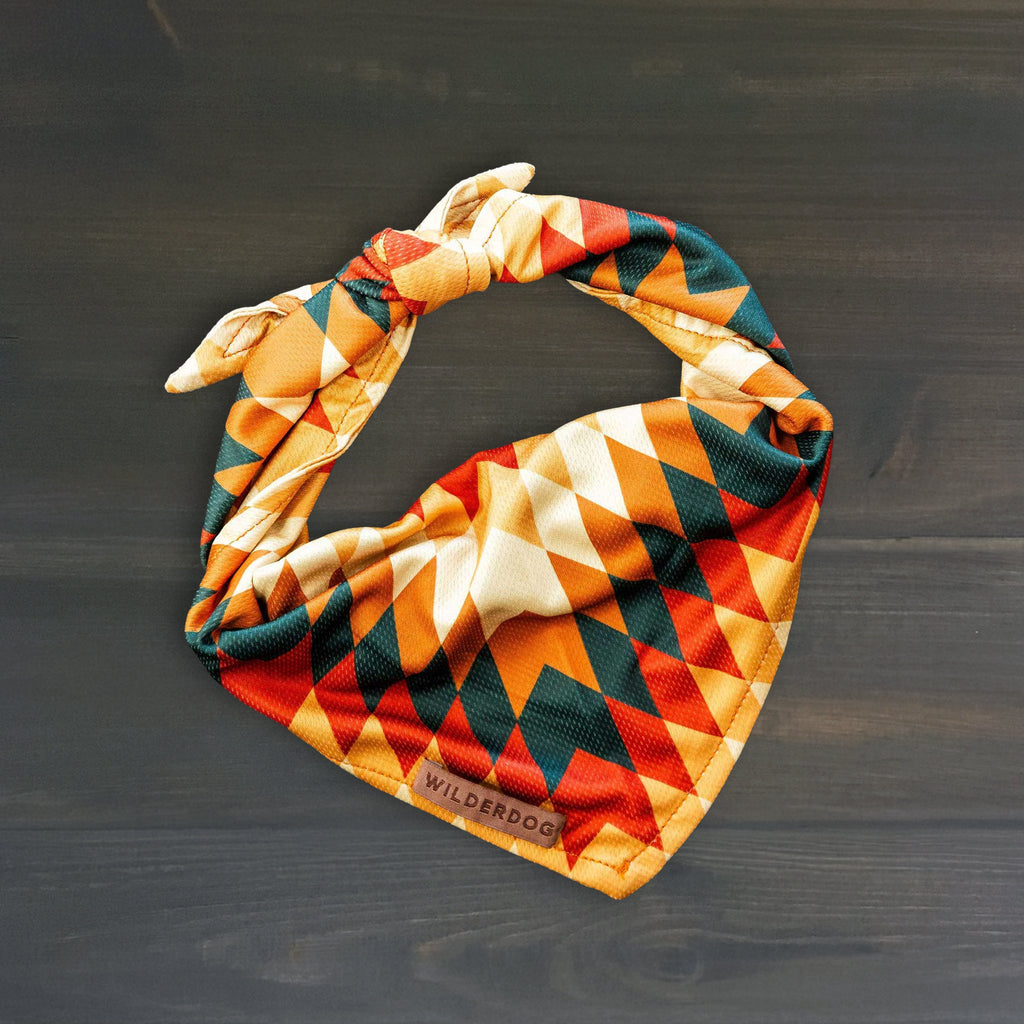 Dog Cooling Bandana product image 1