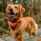 Dog Cooling Bandana product image 2