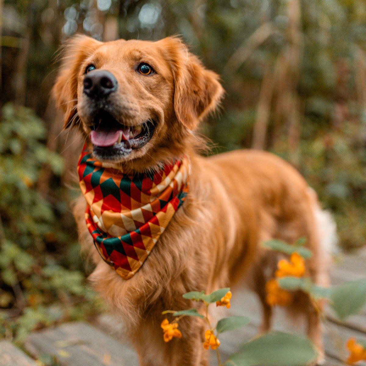 Dog Cooling Bandana product image 2