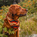 Dog Cooling Bandana product image 5