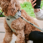Adjustable Dog Harness product image 4