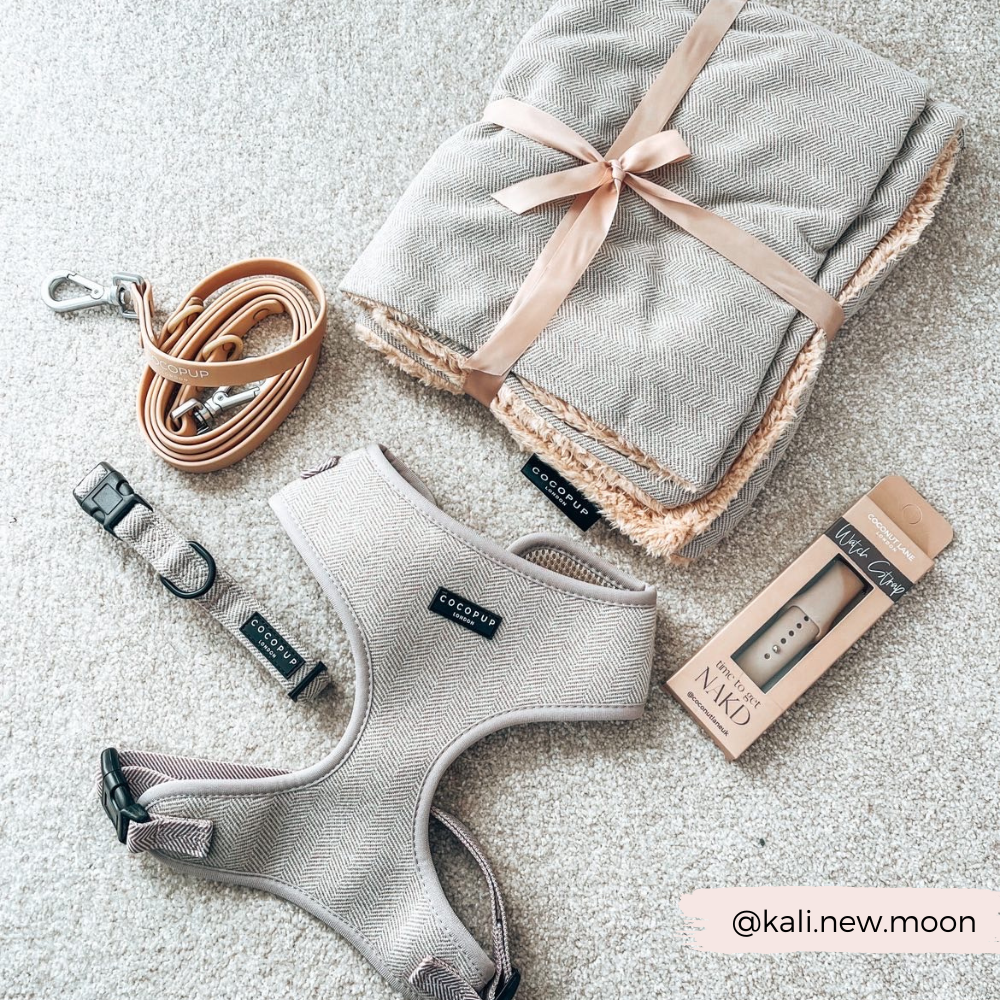 Adjustable Dog Harness product image 11