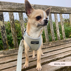 Adjustable Dog Harness product image 18