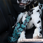 Dog Seat Belt Restraint product image 4