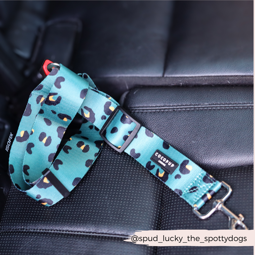 Dog Seat Belt Restraint product image 6