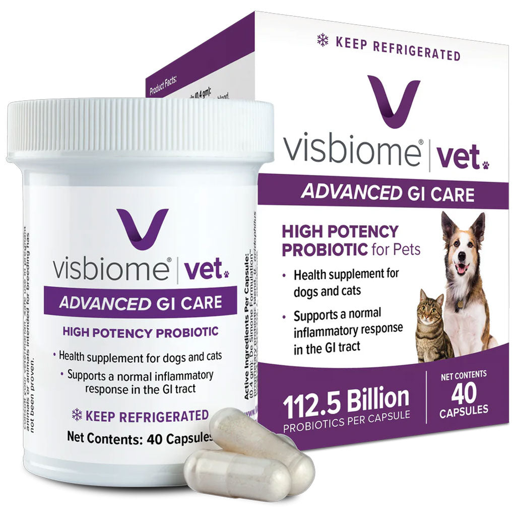 Pet Probiotic Capsule Supplement product image 1