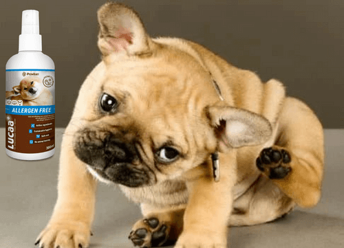 Pet Skin Spray product image 3