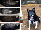 Pet Skin Spray product image 4