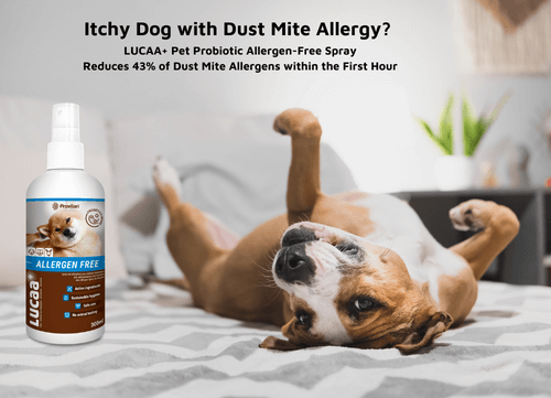 Pet Skin Spray product image 5