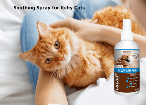 Pet Skin Spray product image 6