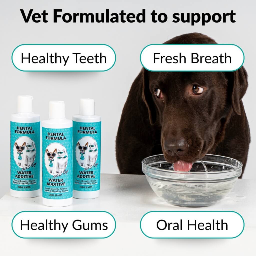 Dental Formula Water Additive - NutriPaw