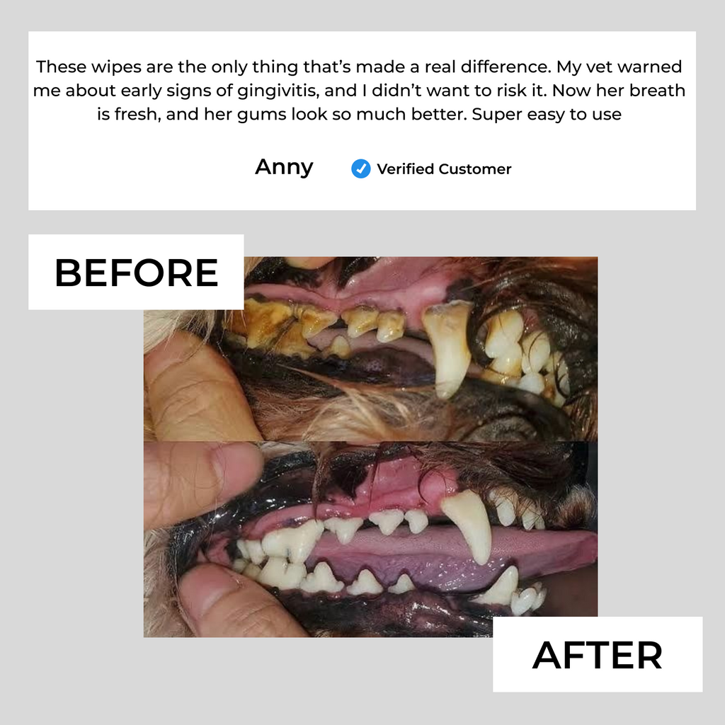 Pet Dental Finger Wipes product image 5