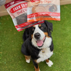 A dog staring at Farm to Pet dog treats above its head on a grassy background.