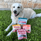 A white dog laying on grass with 'Farm to Pet' pet food packages.