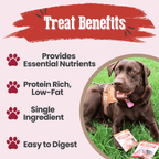Dog lying on grass with treats and text about treat benefits on a white background.