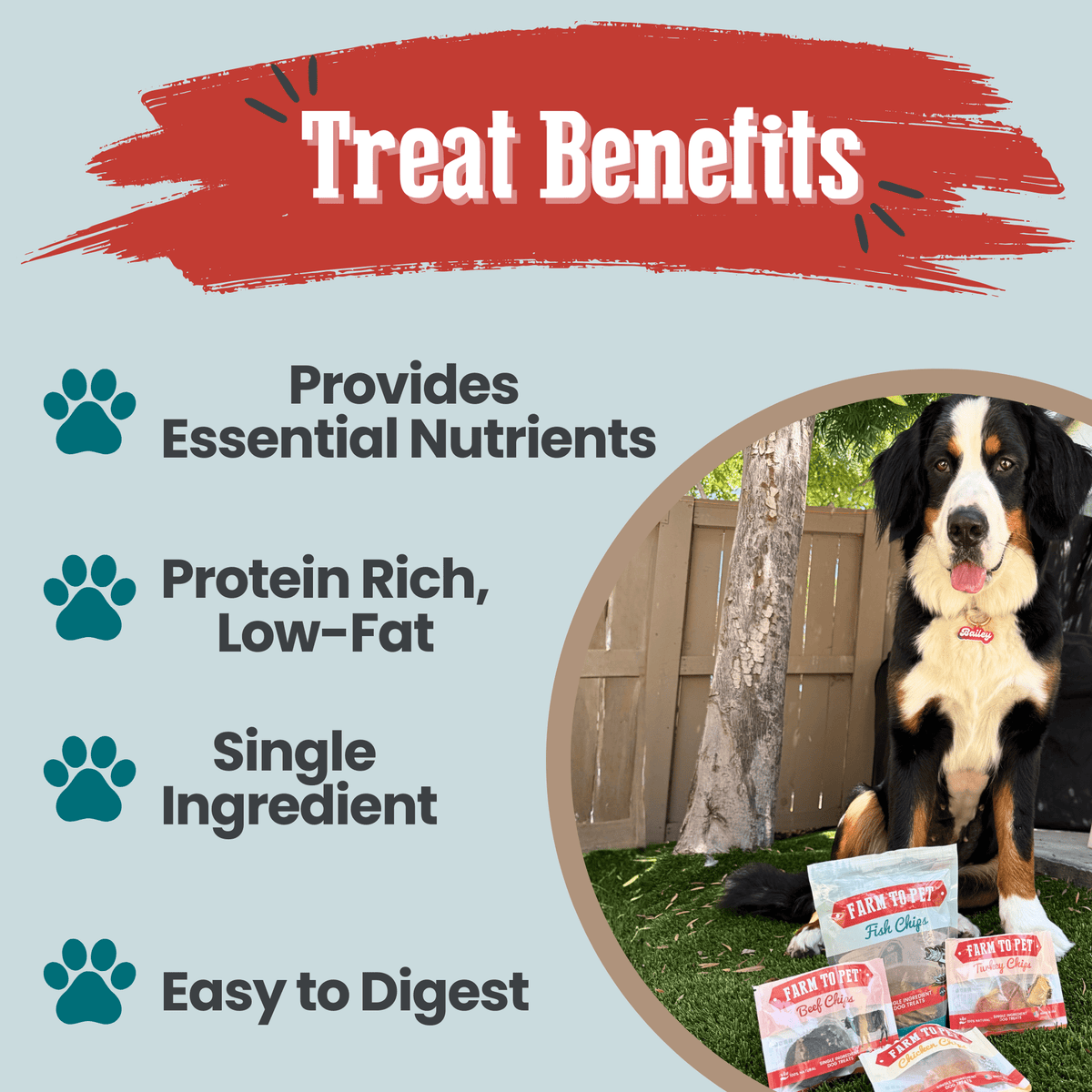 Farm to Pet dog treats with text highlighting benefits. A large dog sitting with treats in front of him.