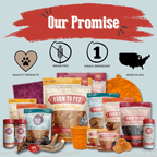 Farm to Pet Assorted pet food products and accessories with branding elements on a light blue background