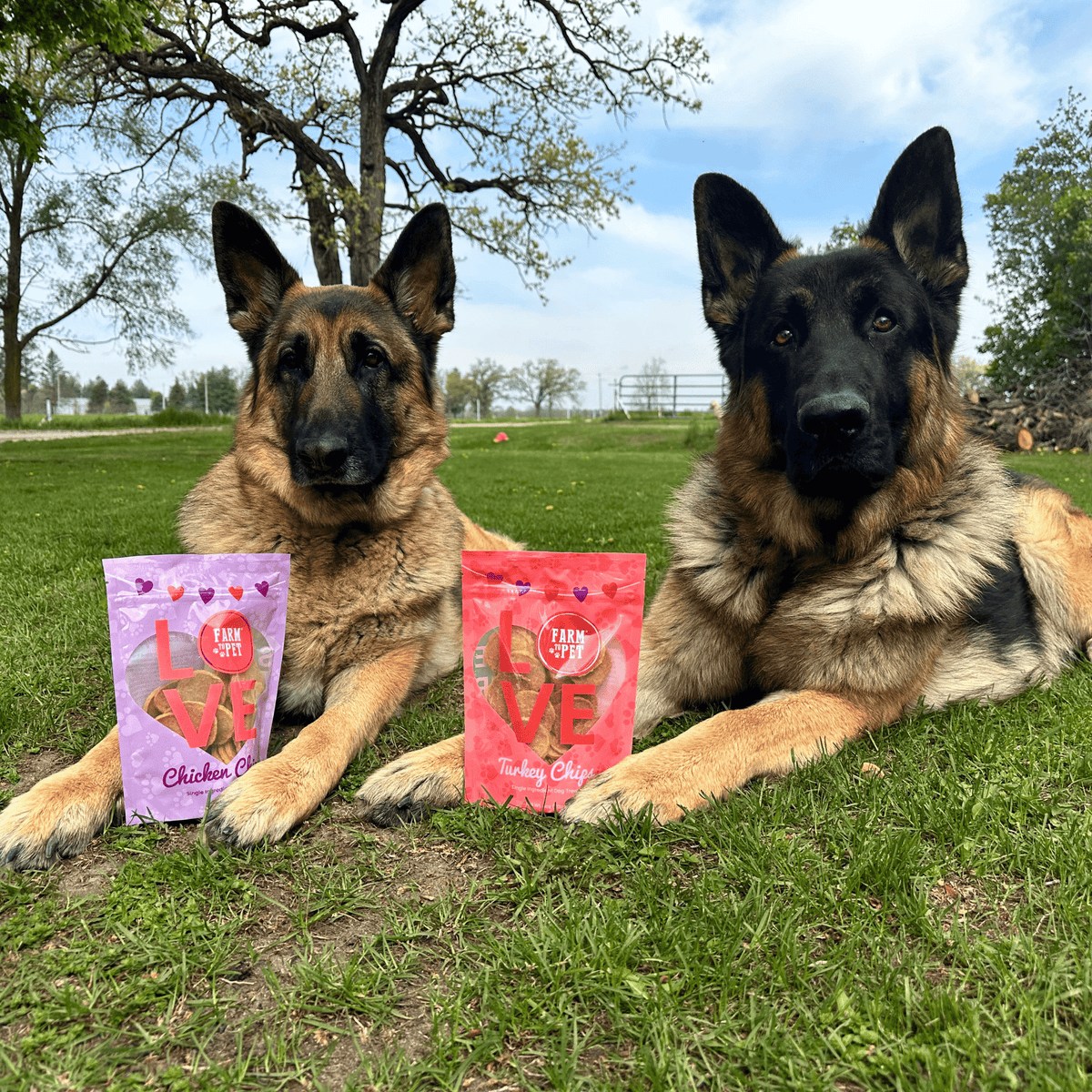 Dog Treats product image 3