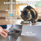 Cat Dental Care & Bad Breath Remedy BestLife4Pets