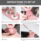 Pet Harness Set product image 5