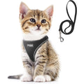 Pet Harness Set product image 6