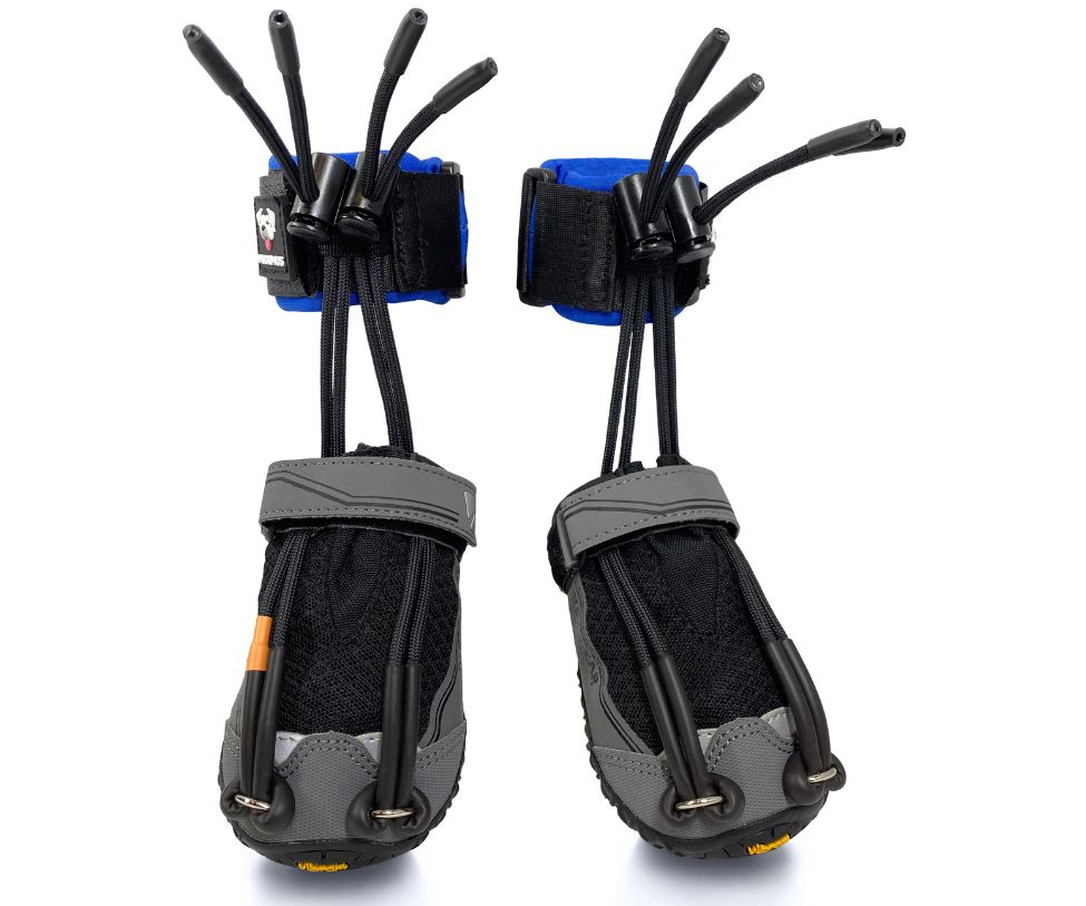 Dog Toe-Up Device product image 1