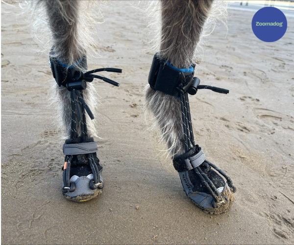 Dog Toe-Up Device product image 11