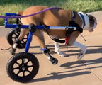 Dog Toe-Up Device product image 13