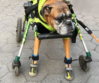 Dog Toe-Up Device product image 16