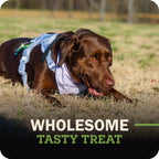 Dog Chew product image 3