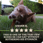 Dog Chew product image 4