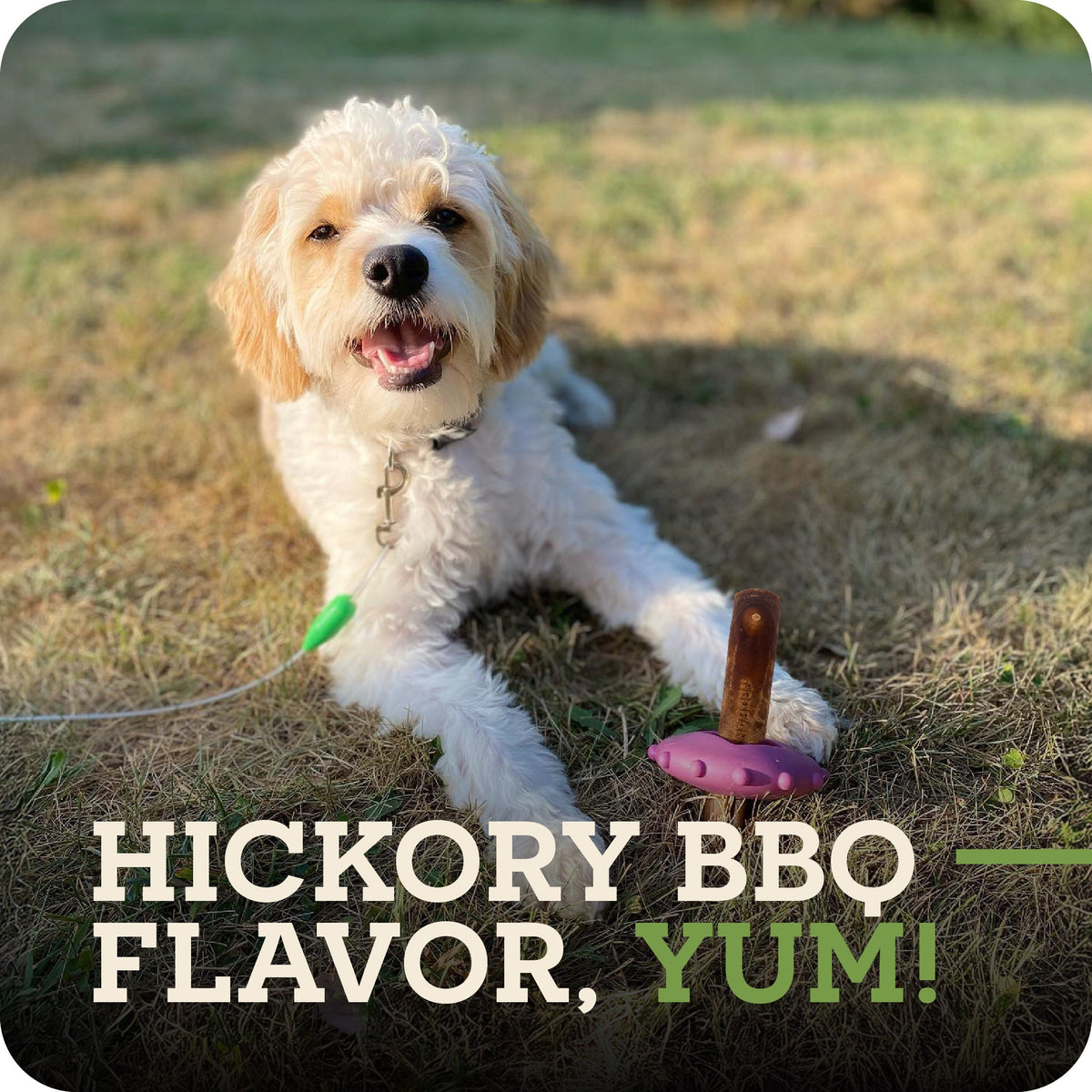 Dog Chew Stick product image 4