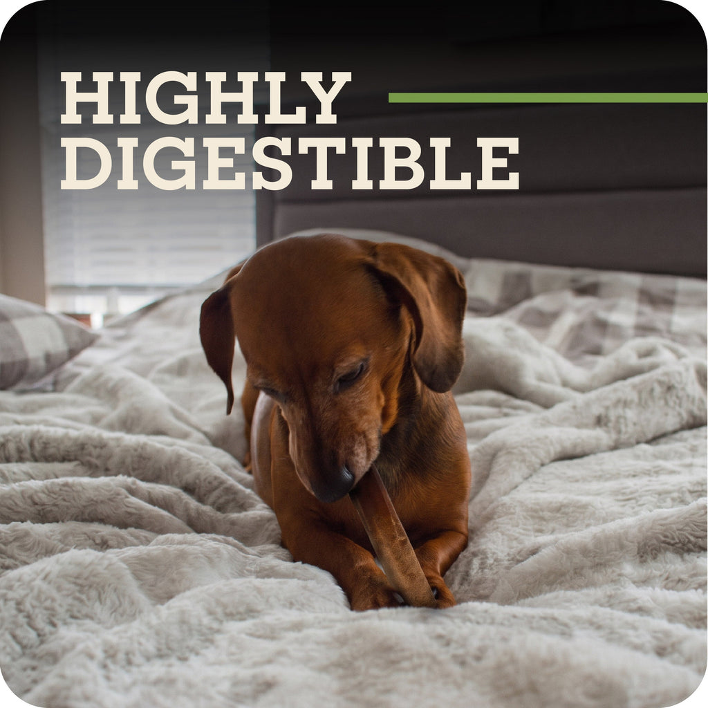 Dog Chew Stick product image 5