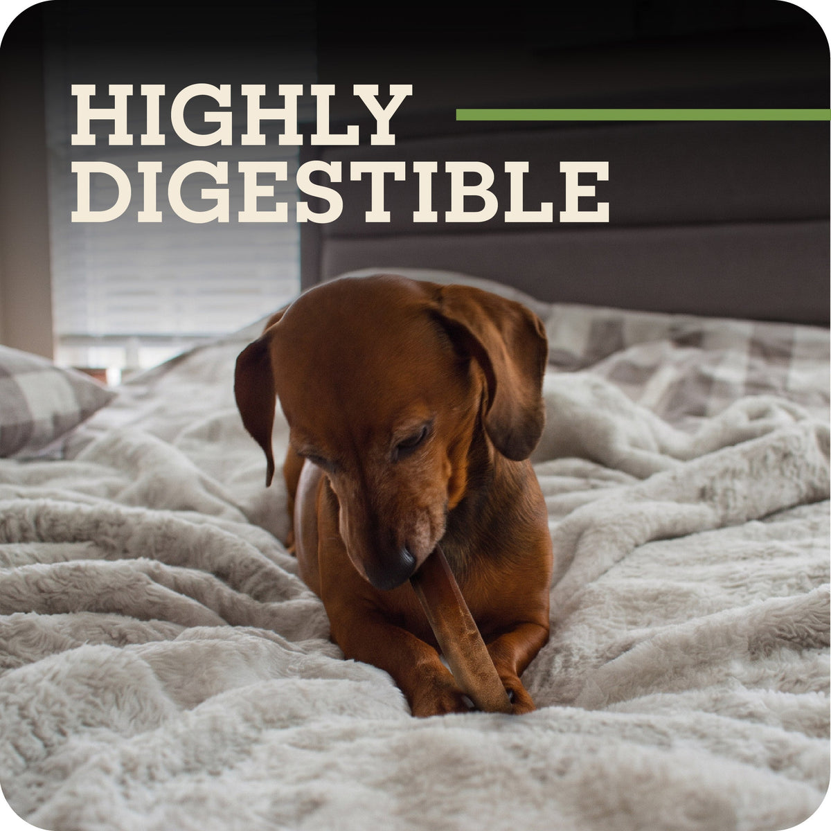 Dog Chew Stick product image 5