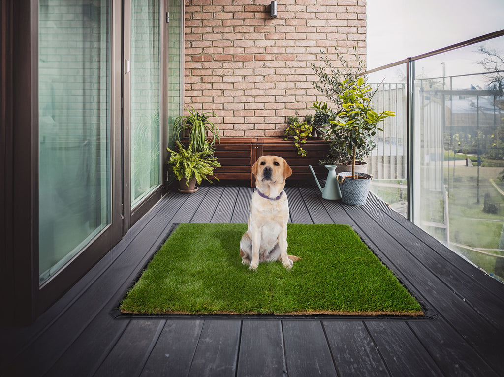 Dog Grass Pee Pad product image 3