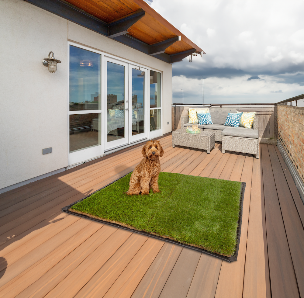 Dog Grass Pee Pad product image 4