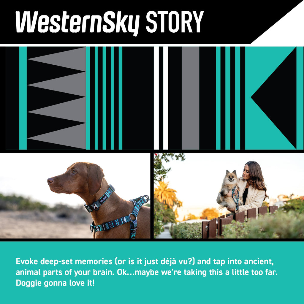 Dog Collar product image 2