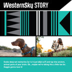 Dog Collar product image 2