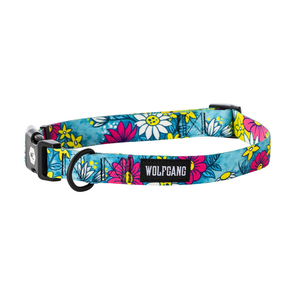 Dog Collar product image 1