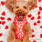 Dog Harnesses product image 5